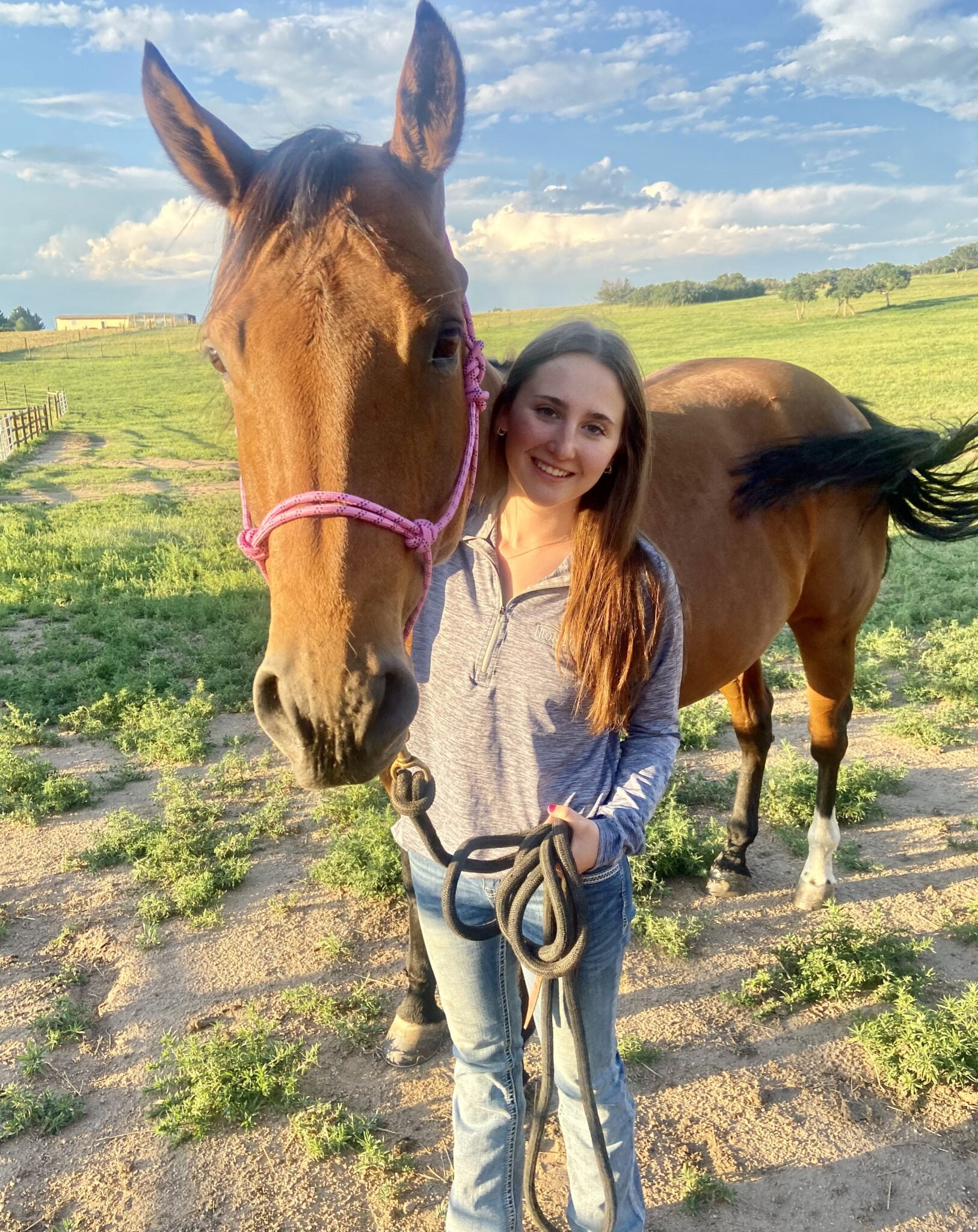 Our Team Iron Horse Equine