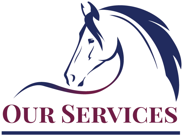 Equine Vet in Elizabeth, CO